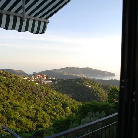 Casa Vacanze Domus Centola Room photo