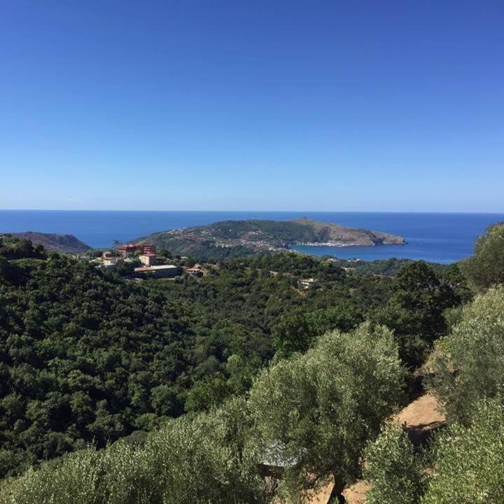 Domus Holiday home Centola